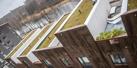 Tak och grönområden har utformats för att smälta in i arkitektur och omgivningar runt Zenhusen. Foto: Joakim Rådström.