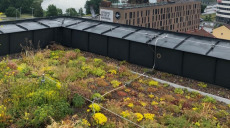 Nu blomstrar taket på NCC:s nya kontorsbyggnad