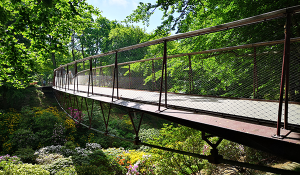 Sofias bro har tilldelats Stålbyggnadspriset 2021.